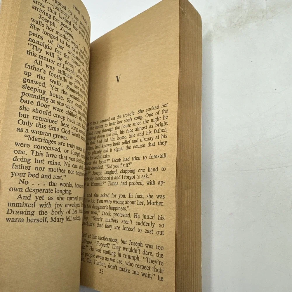 Two from Galilee. Marjorie Holmes 1974 Paperback A Love Story Of Mary And Joseph